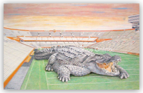 Florida Fighting Gator