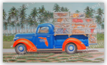 Fresh Catch of the Day