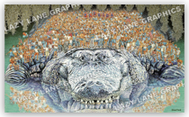 Gatornation