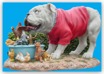 Dawg Food
