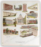 WKU Campus