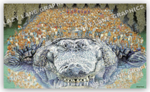 Gatornation