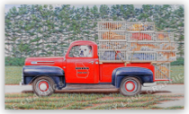 Dawg Catcher